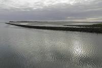 Cjp_2017-04-04_081832.jpg