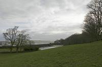 Cjp_2017-04-04_083116.jpg