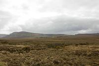 Cjp_2017-04-04_094846.jpg