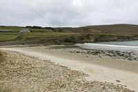 Cjp_2017-04-04_101250.jpg
