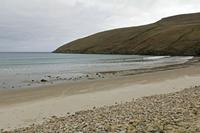 Cjp_2017-04-04_101302.jpg