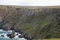 Cjp_2017-04-04_120558.jpg