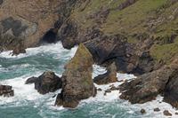 Cjp_2017-04-04_120756.jpg