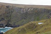 Cjp_2017-04-04_121900.jpg