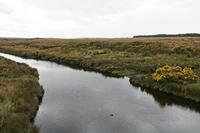 Cjp_2017-04-04_123756.jpg