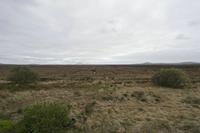 Cjp_2017-04-04_140944.jpg