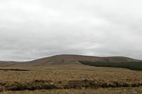 Cjp_2017-04-04_142038.jpg