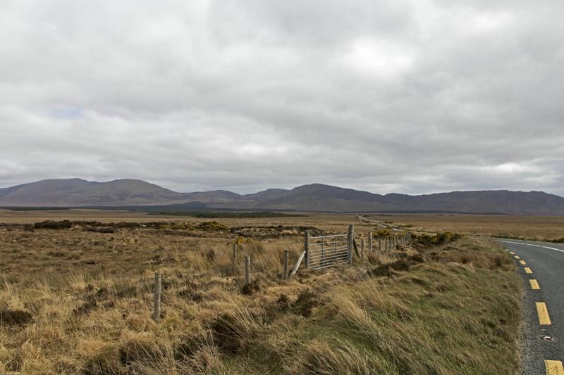 Cjp_2017-04-04_143744.jpg