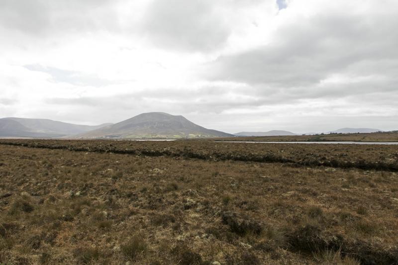 Cjp_2017-04-04_144102.jpg