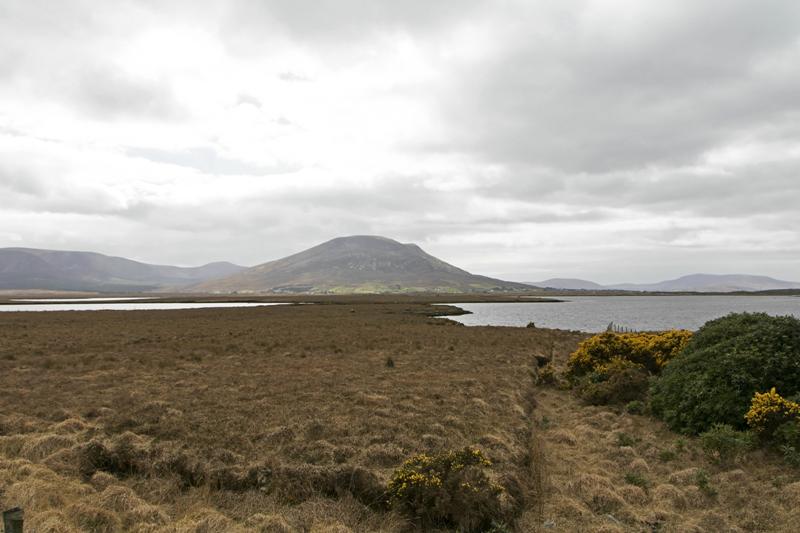 Cjp_2017-04-04_144244.jpg