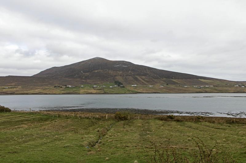 Cjp_2017-04-04_152834.jpg