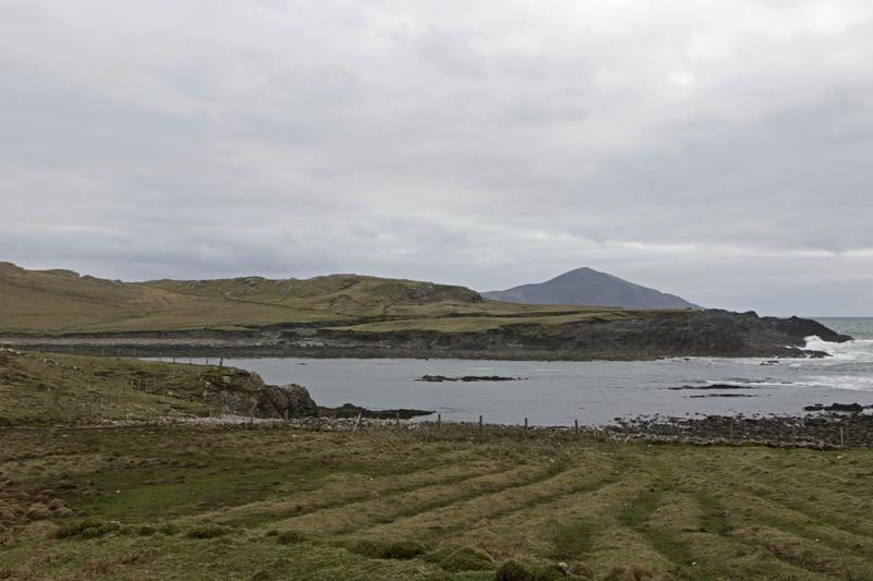 Cjp_2017-04-04_153414.jpg