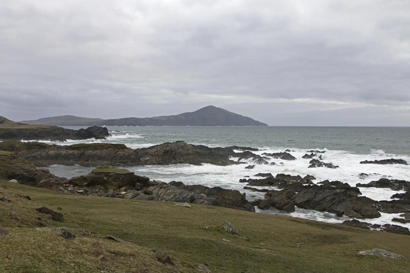 Cjp_2017-04-04_153616.jpg