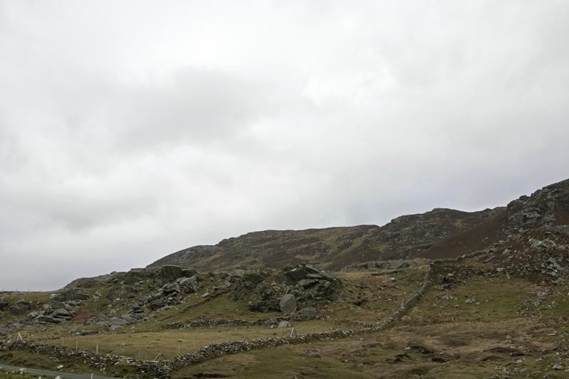 Cjp_2017-04-04_153840.jpg
