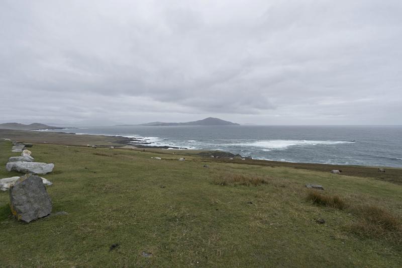 Cjp_2017-04-04_155106.jpg