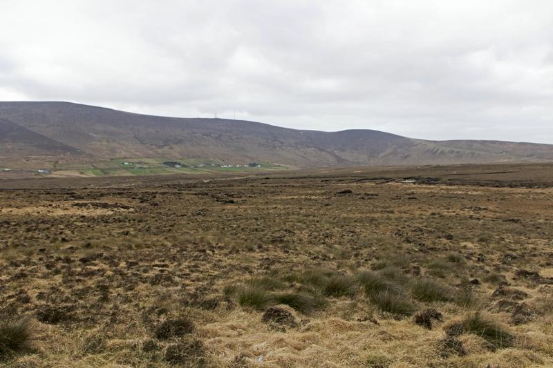 Cjp_2017-04-04_161116.jpg