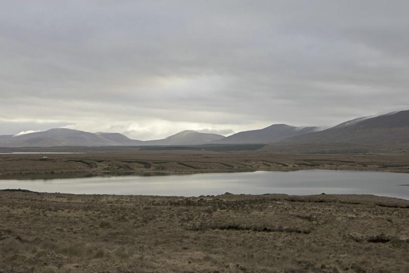 Cjp_2017-04-05_071326.jpg