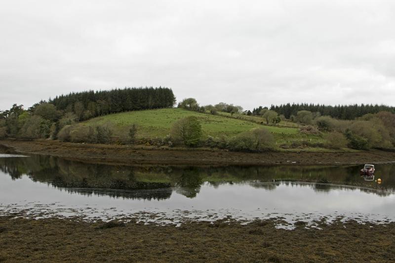 Cjp_2017-04-05_075236.jpg
