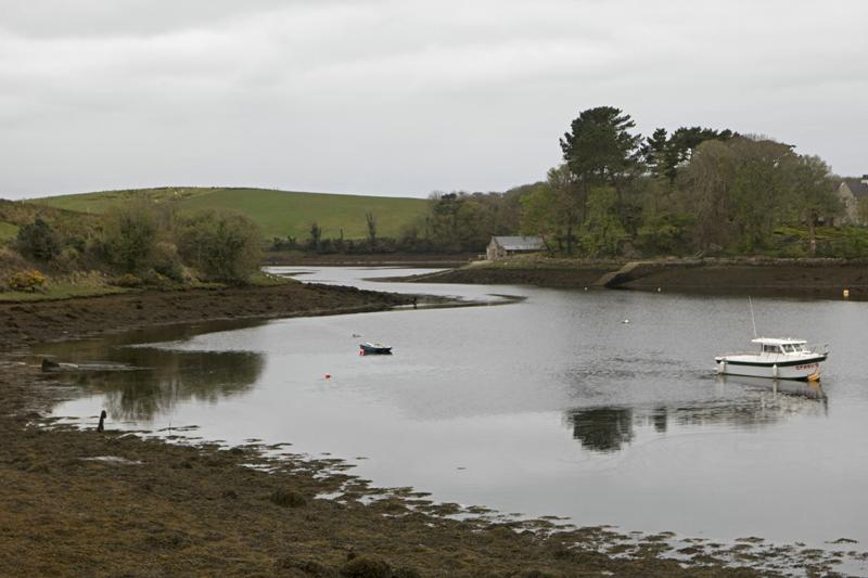 Cjp_2017-04-05_075318.jpg