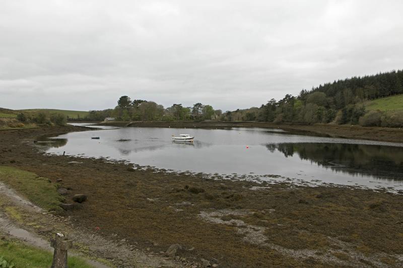 Cjp_2017-04-05_075412.jpg