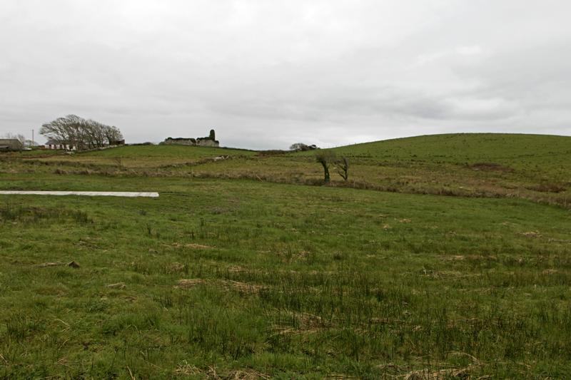 Cjp_2017-04-05_075504.jpg