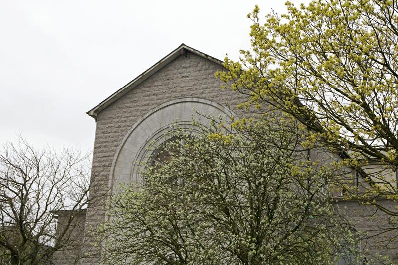 Cjp_2017-04-05_085920.jpg