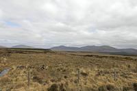Cjp_2017-04-04_143736.jpg