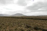 Cjp_2017-04-04_144102.jpg