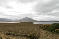 Cjp_2017-04-04_144244.jpg