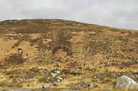 Cjp_2017-04-04_144720.jpg