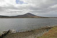 Cjp_2017-04-04_144752.jpg