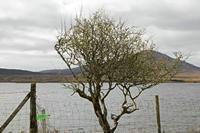 Cjp_2017-04-04_144810.jpg