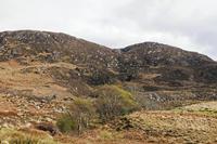 Cjp_2017-04-04_144822.jpg