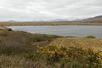 Cjp_2017-04-04_150416.jpg