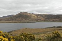 Cjp_2017-04-04_150448.jpg