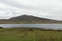 Cjp_2017-04-04_152834.jpg