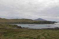 Cjp_2017-04-04_153414.jpg
