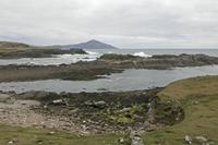 Cjp_2017-04-04_153448.jpg