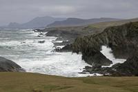 Cjp_2017-04-04_153550_2.jpg