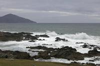 Cjp_2017-04-04_153604_2.jpg