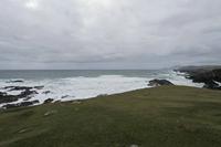 Cjp_2017-04-04_153640.jpg