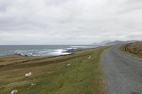 Cjp_2017-04-04_154422.jpg