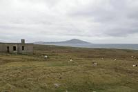 Cjp_2017-04-04_154624.jpg