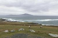 Cjp_2017-04-04_155008.jpg