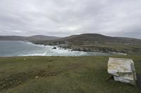 Cjp_2017-04-04_155136.jpg