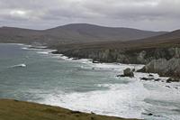 Cjp_2017-04-04_155302.jpg