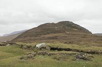 Cjp_2017-04-04_155332.jpg