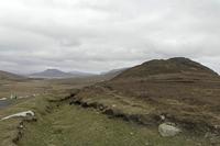 Cjp_2017-04-04_155352.jpg