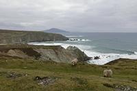 Cjp_2017-04-04_160612.jpg