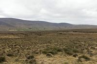 Cjp_2017-04-04_161116.jpg